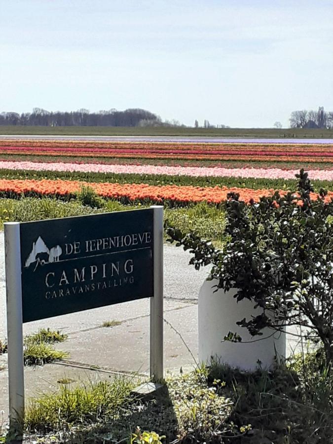 4 Persoons Ingerichte Tent Op Kleine Camping Otel Anna Paulowna Dış mekan fotoğraf